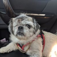 Kaskaskia Valley Animal Hospital ico