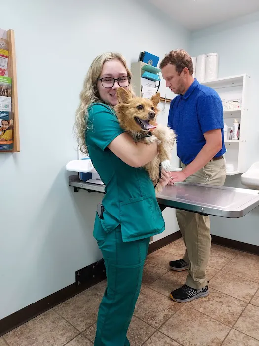 Kaskaskia Valley Animal Hospital 5