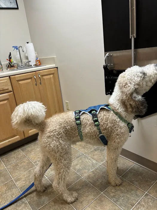 Arthur Veterinary Clinic 3