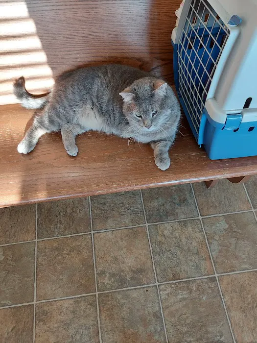 Arthur Veterinary Clinic 4