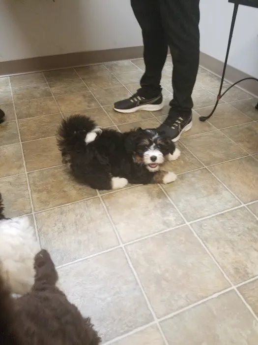 Arthur Veterinary Clinic 7