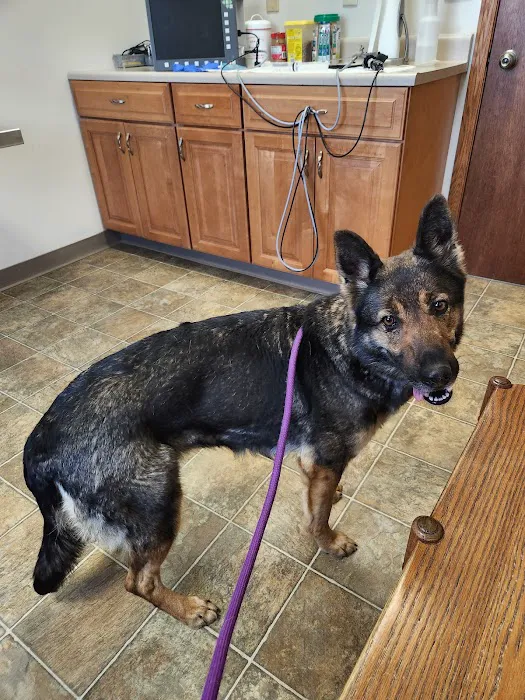 Arthur Veterinary Clinic 8