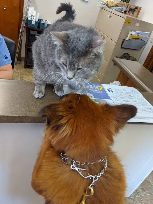 Arthur Veterinary Clinic 2