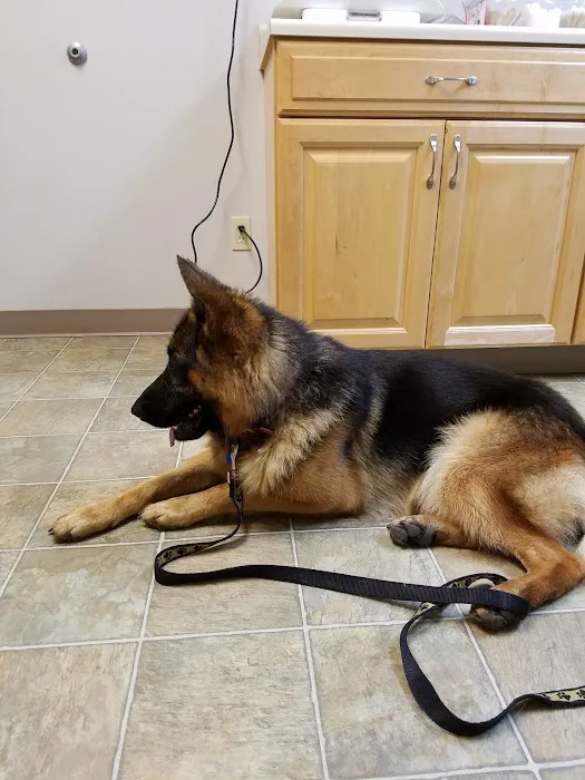 Arthur Veterinary Clinic 6