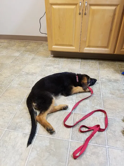 Arthur Veterinary Clinic 9