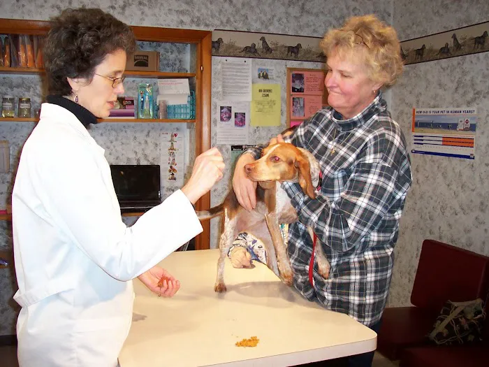 Okaw Veterinary Clinic 12