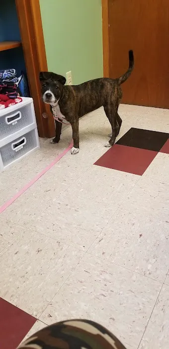 Okaw Veterinary Clinic 12