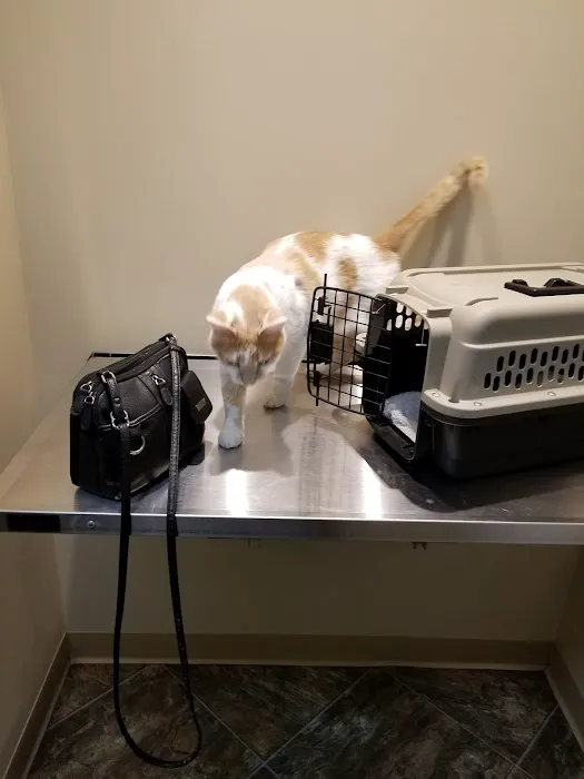 Graham Veterinary Clinic 4