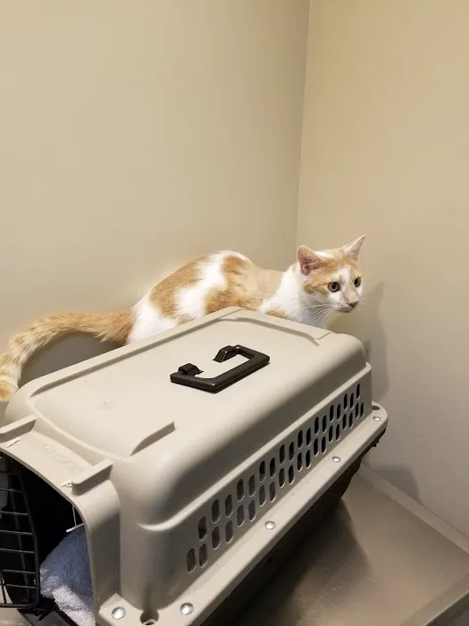 Graham Veterinary Clinic 3