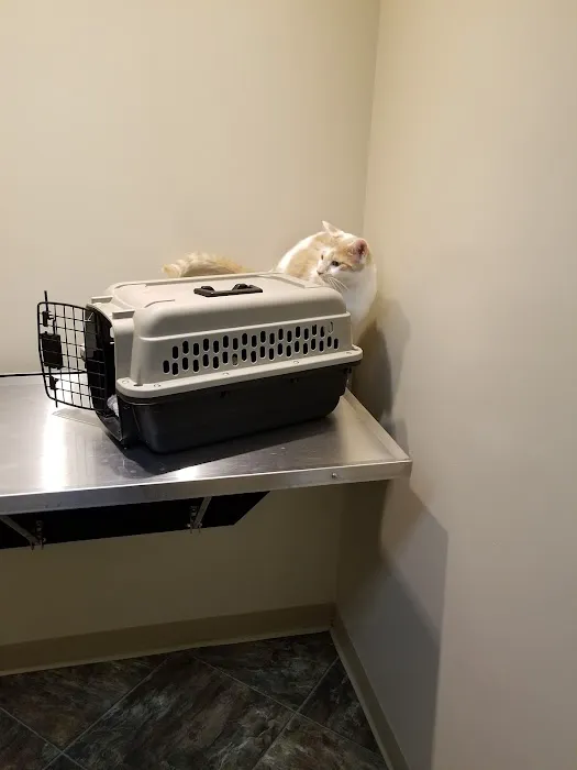 Graham Veterinary Clinic 2