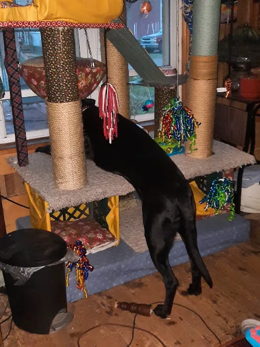Graham Veterinary Clinic 8