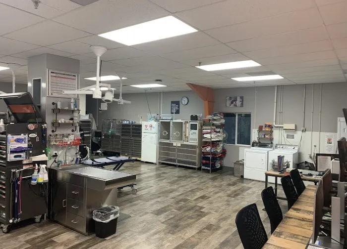 VCA All Pet Emergency Center 3
