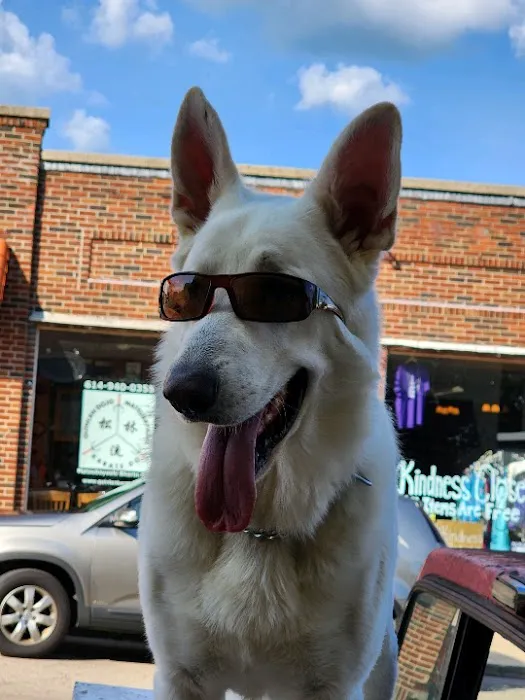 Champion Pet Vet 1