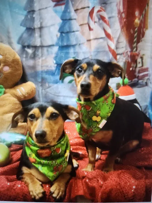 Banfield Pet Hospital 12