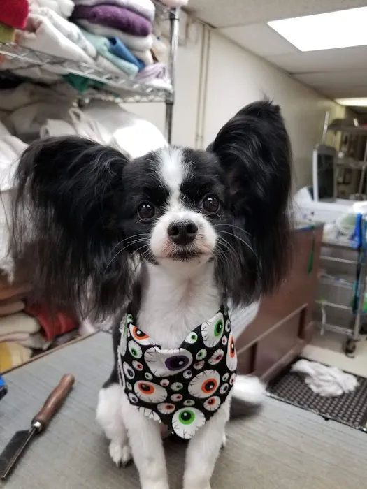 Fegenbush Lane Animal Clinic 4