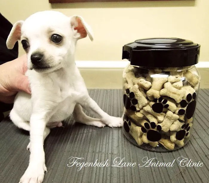 Fegenbush Lane Animal Clinic 9