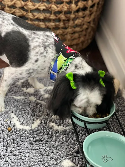 Bullitt County Veterinary Center 12
