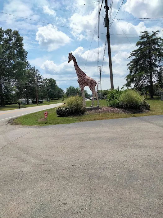 Bullitt County Veterinary Center 12