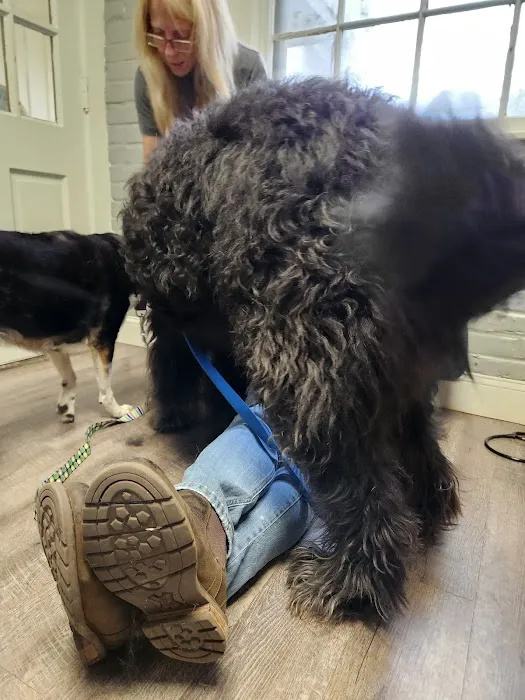Frankfort Veterinary Clinic 12
