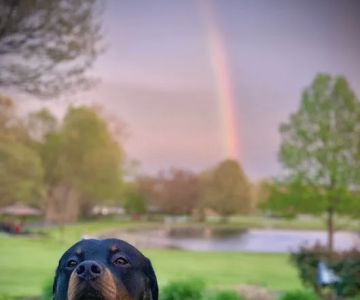 Frankfort Veterinary Clinic