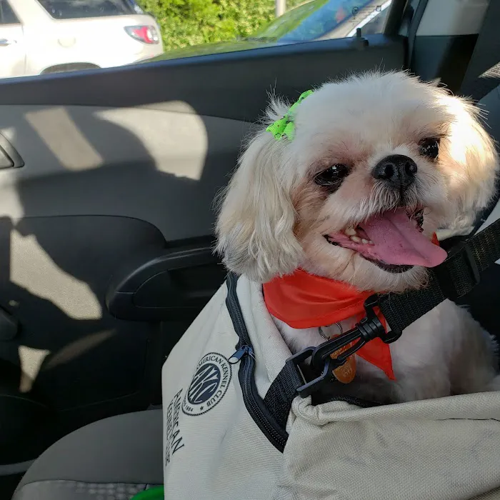 Frankfort Veterinary Clinic 12