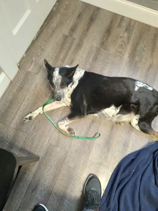 Frankfort Veterinary Clinic 12