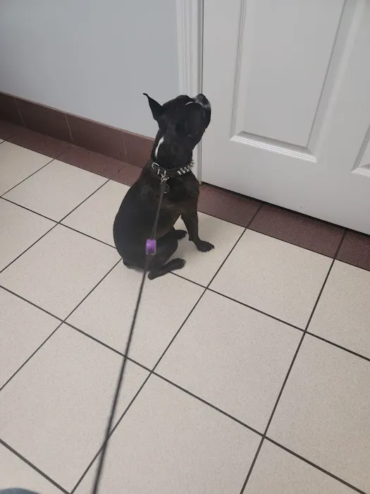 Animal Medical Center 5