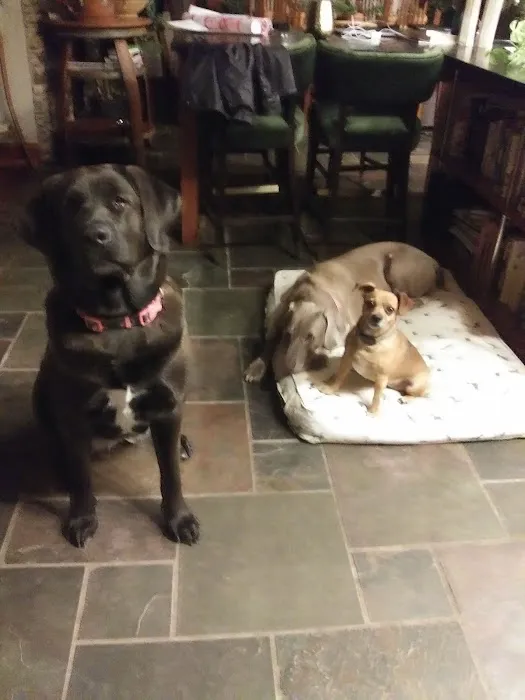 Cornerstone Animal Care 3