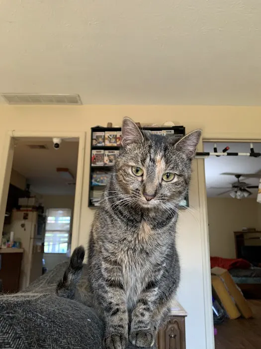 Critters Without Litters 1