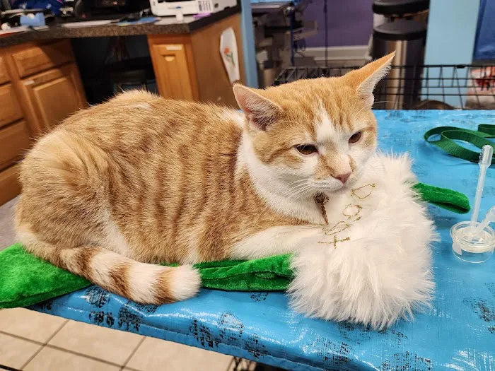 Buffalo Trace Veterinary Services 6