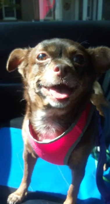 Buffalo Trace Veterinary Services 7