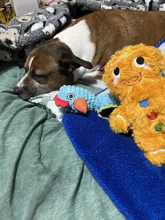 Buffalo Trace Veterinary Services 4