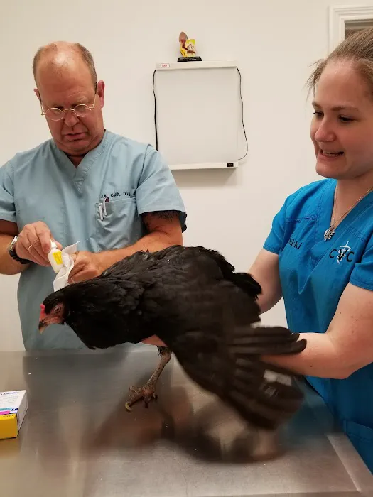 Crossroads Veterinary Clinic, LLC 9