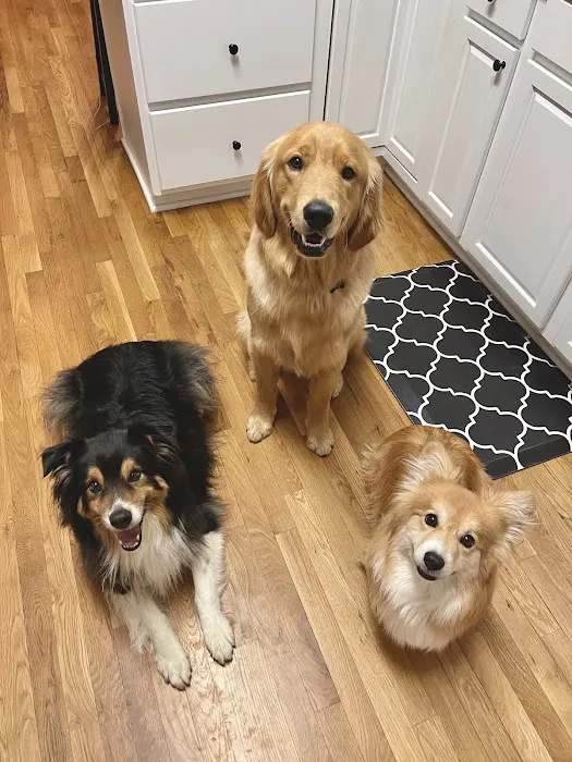 Crossroads Veterinary Clinic, LLC 5