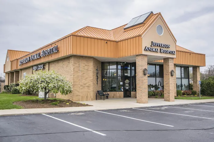 Jefferson Animal Hospital Fern Creek 12