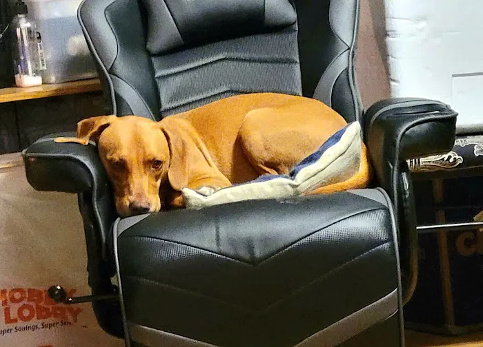 Jefferson Animal Hospital Fern Creek 12