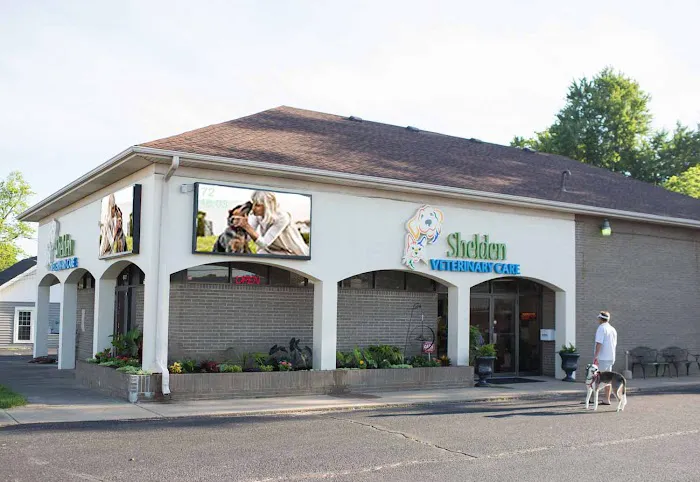 VCA Shelden Animal Hospital 12