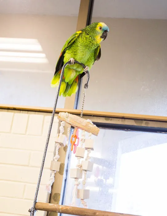VCA Shelden Animal Hospital 12