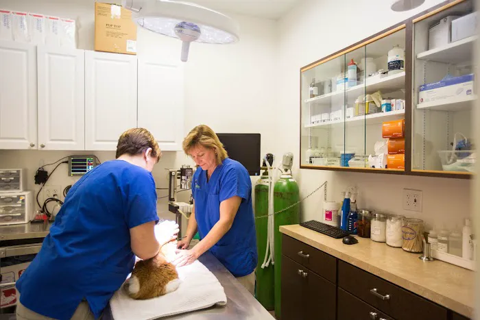 VCA Shelden Animal Hospital 12