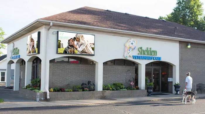 VCA Shelden Animal Hospital 12