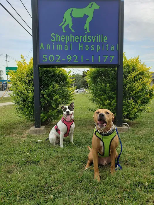 Shepherdsville Animal Hospital 9