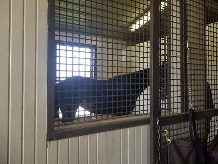 Rood & Riddle Equine Hospital 4