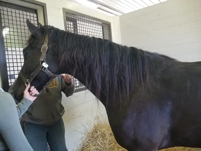 Rood & Riddle Equine Hospital 8