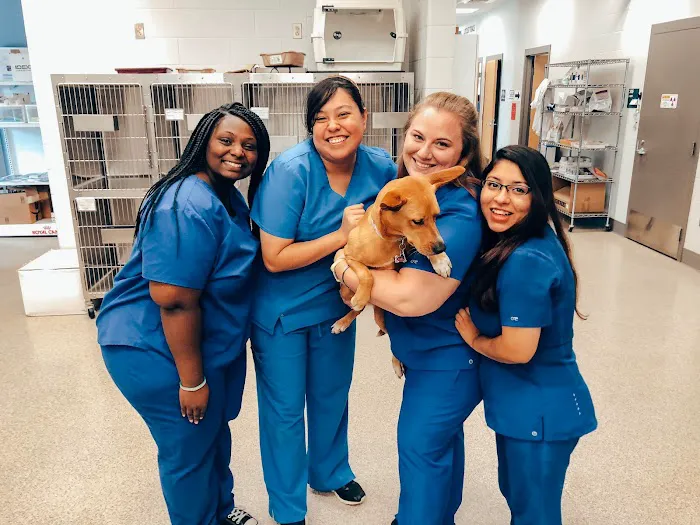 Locust Trace Veterinary Clinic Lexington KY 6