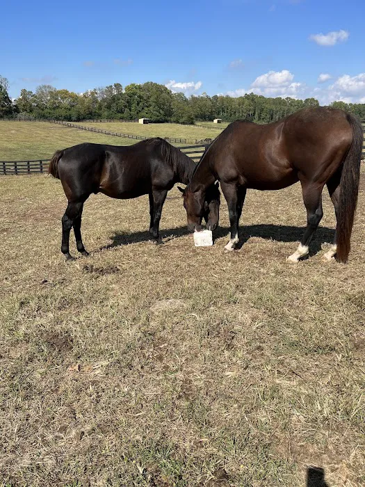 Locust Trace Veterinary Clinic Lexington KY 4