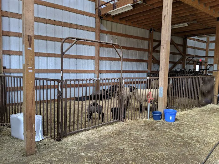 Locust Trace Veterinary Clinic Lexington KY 2