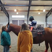 Locust Trace Veterinary Clinic Lexington KY ico