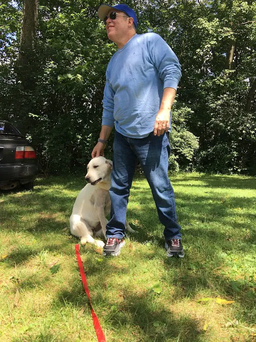 Dr D's For Dogs 1