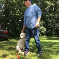 Dr D's For Dogs ico