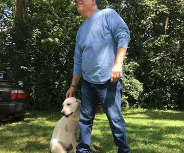 Dr D's For Dogs